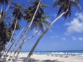 CARIBE SIN ESCALAS!!!!